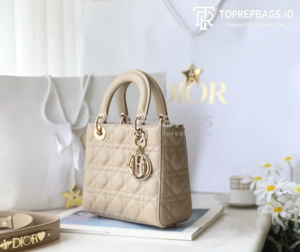 cmp_i1747197059256_9464_0_4 Dior Lady Dior in Khaki