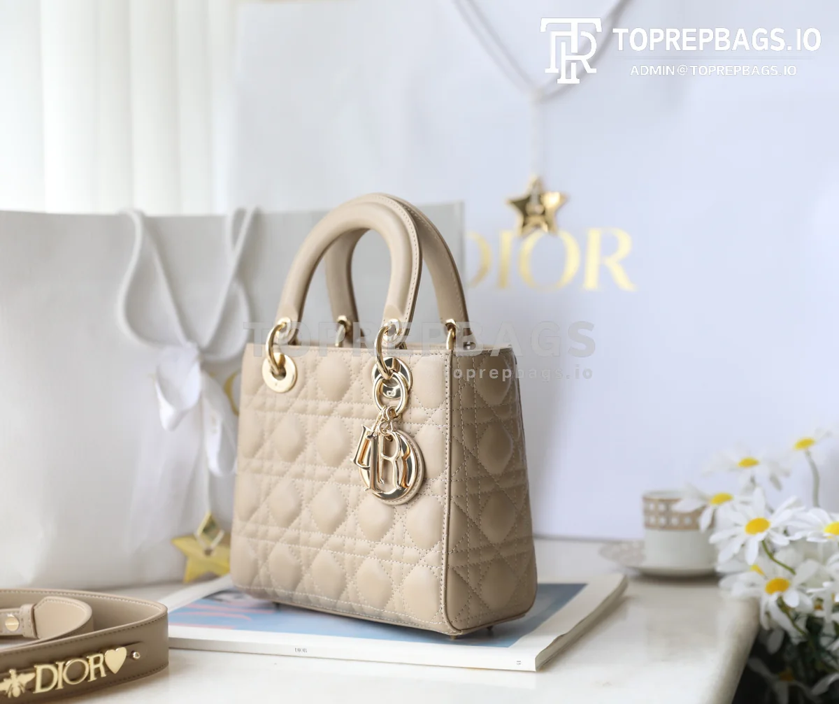 cmp_i1747197059256_9464_0_4 Dior Lady Dior in Khaki