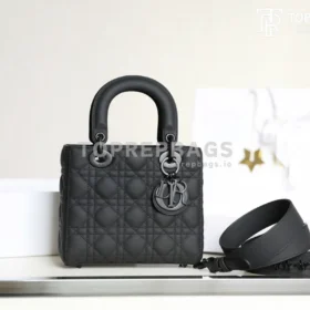 cmp_i1747197282565_6813_0_0 Dior Lady Dior in Black