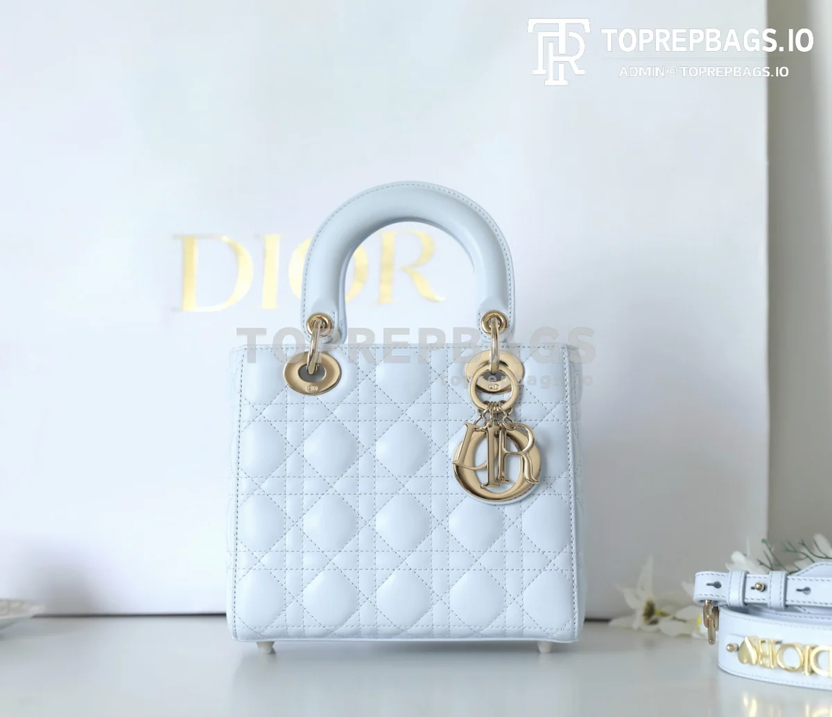cmp_i1747197396970_896_0_0 Dior Lady Dior in Blue