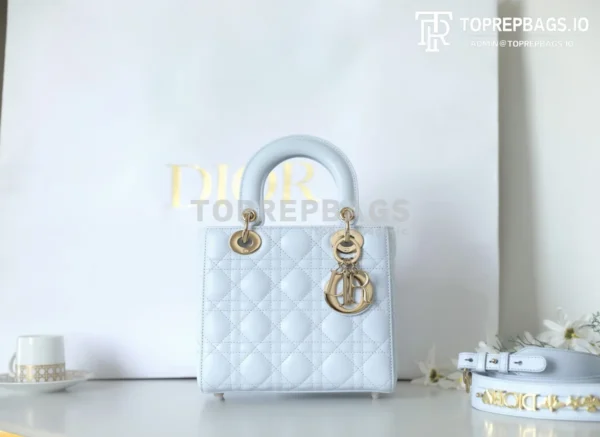 cmp_i1747197396974_787_0_1 Dior Lady Dior in Blue