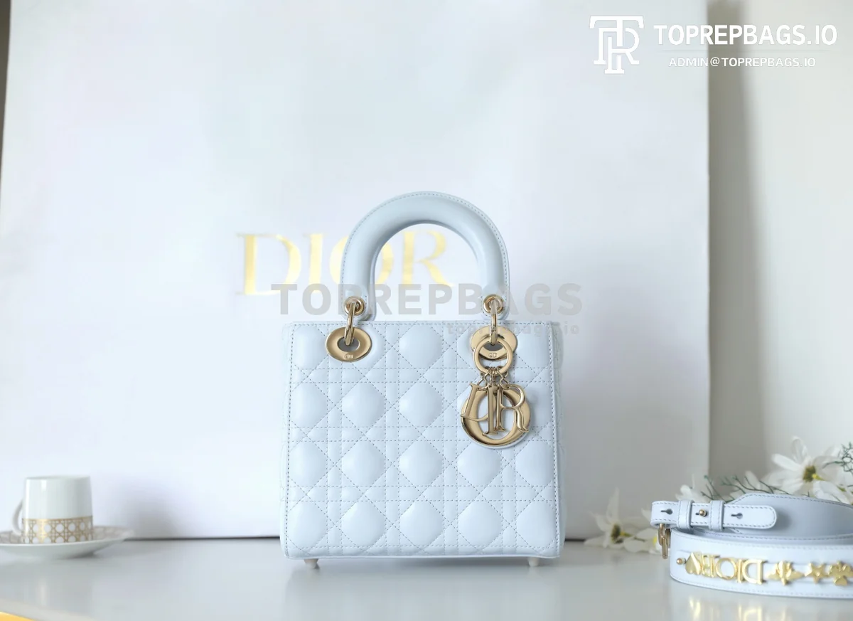 cmp_i1747197396974_787_0_1 Dior Lady Dior in Blue