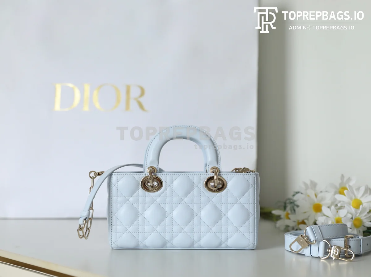 cmp_i1747367264009_8223_0_5 Dior D-Joy in Blue