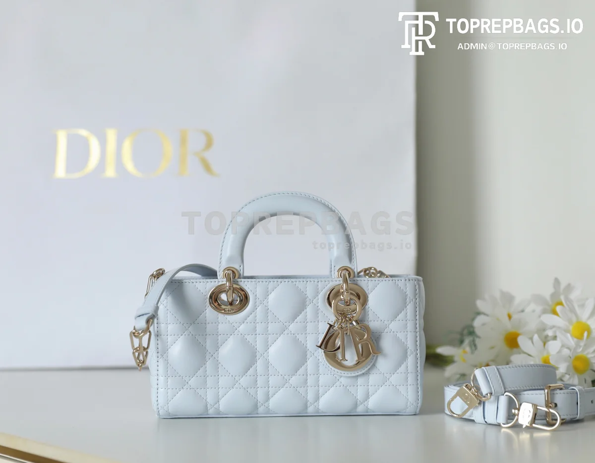 cmp_i1747367298604_1137_0_1 Dior D-Joy in Blue