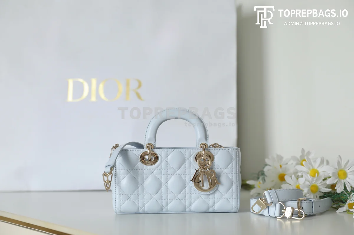 cmp_i1747367312615_6397_0_0 Dior D-Joy in Blue