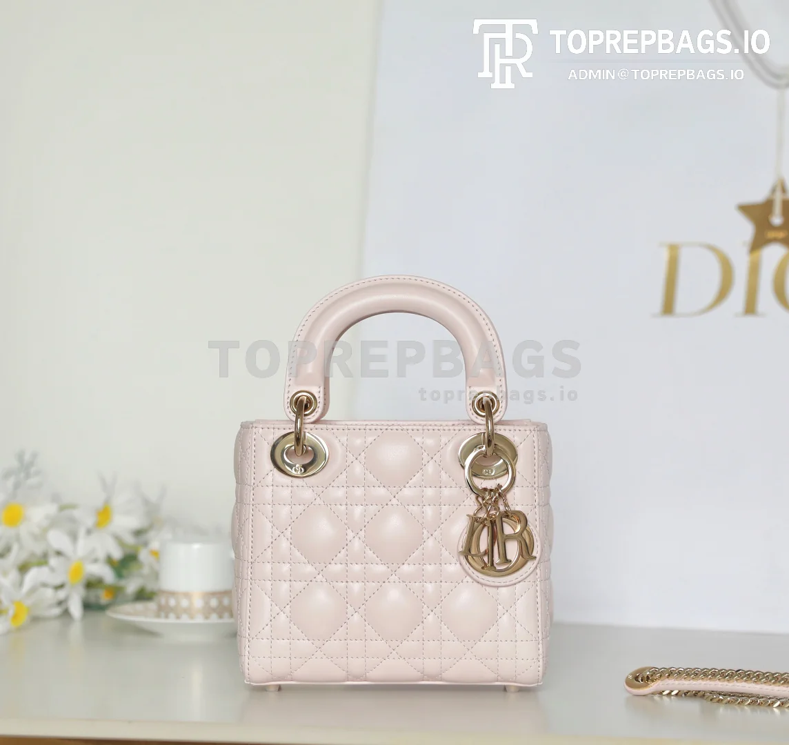 cmp_i1749714389836_448_0_10 Dior Lady Dior in Pink