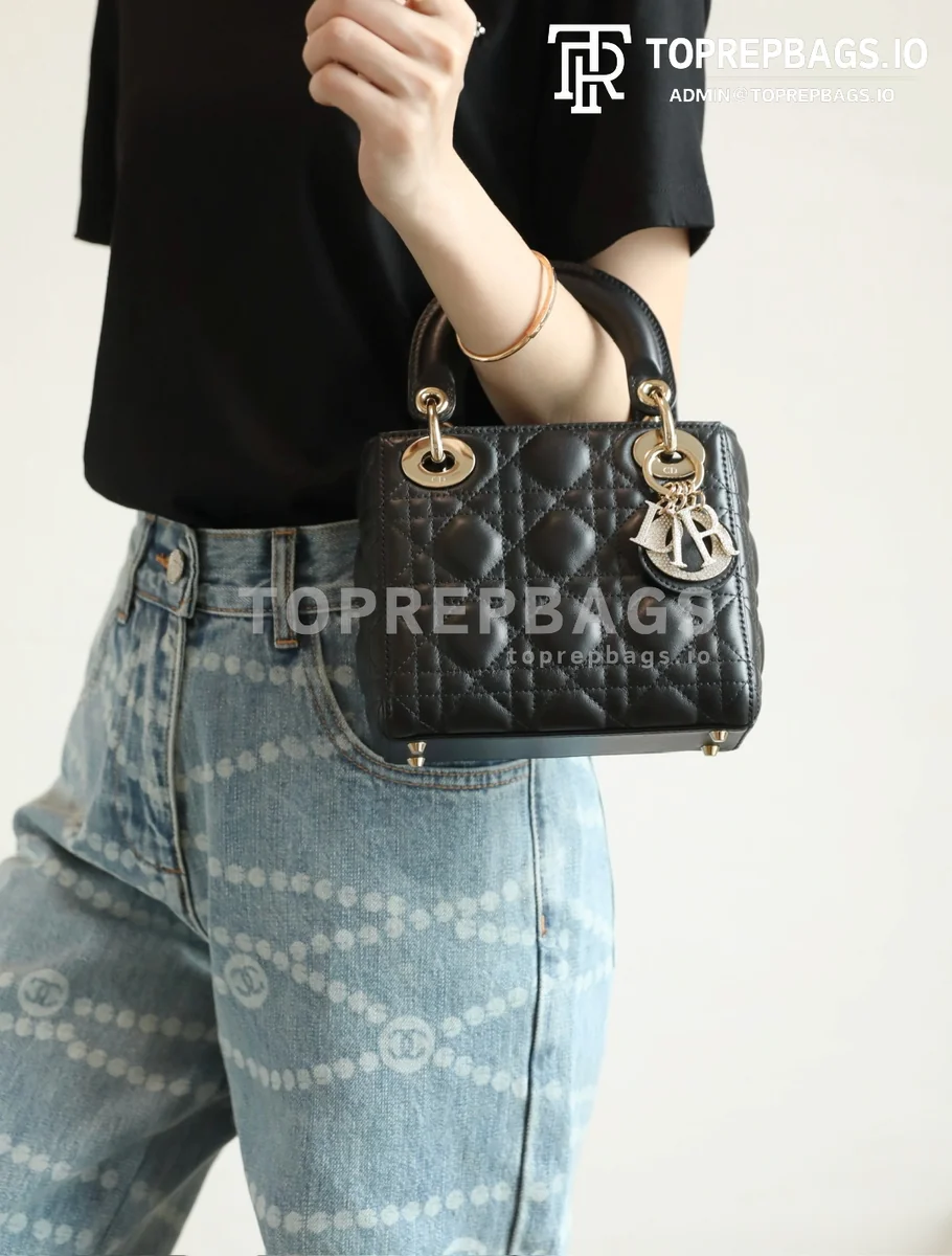 cmp_i1754377793852_1121_0_8 Dior Lady Dior in Black