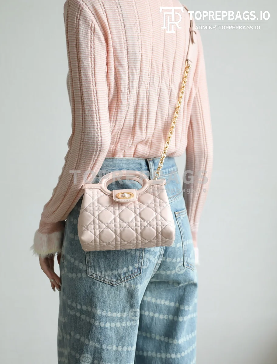 cmp_i1762417053232_9491_0_3 Dior Jolie Top Handle in Pink