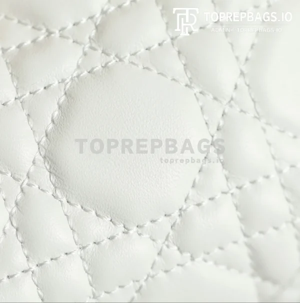 cmp_i1762417312109_2349_0_2 Dior Jolie Top Handle in White