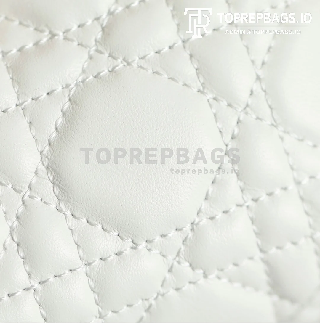 cmp_i1762417312109_2349_0_2 Dior Jolie Top Handle in White