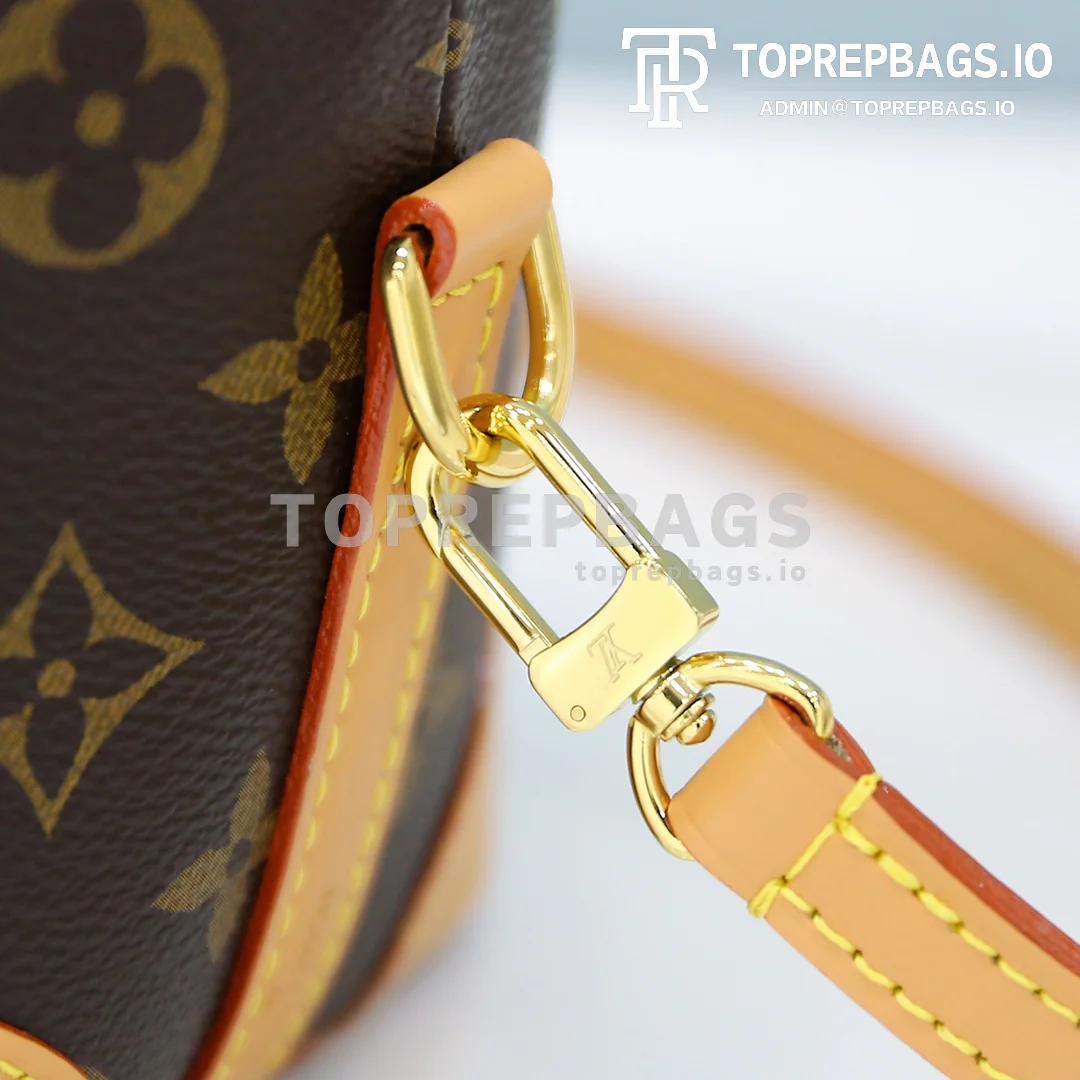 i1600061648_2289_5 Louis Vuitton Noe Purse Mini in Brown