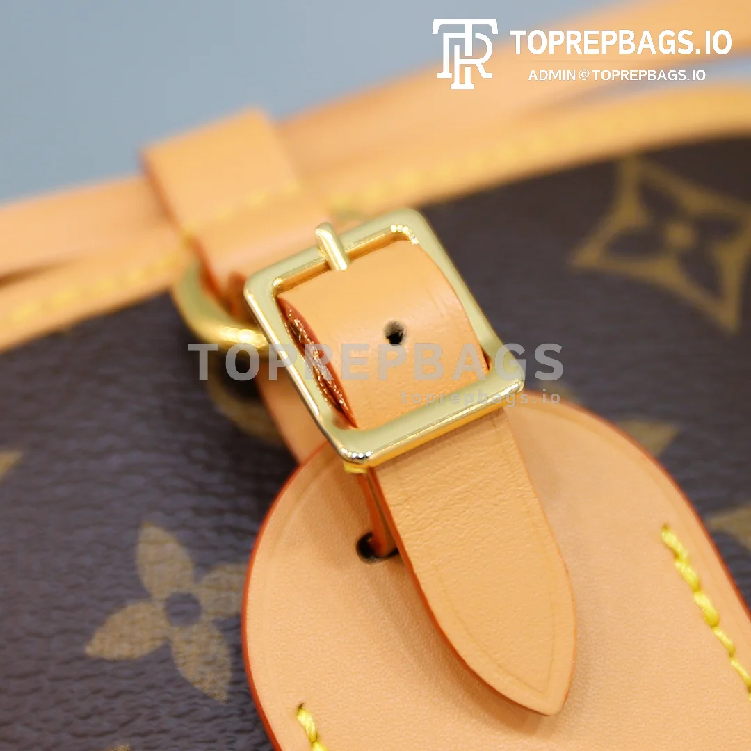i1600061648_4490_8 Louis Vuitton Noe Purse Mini in Brown