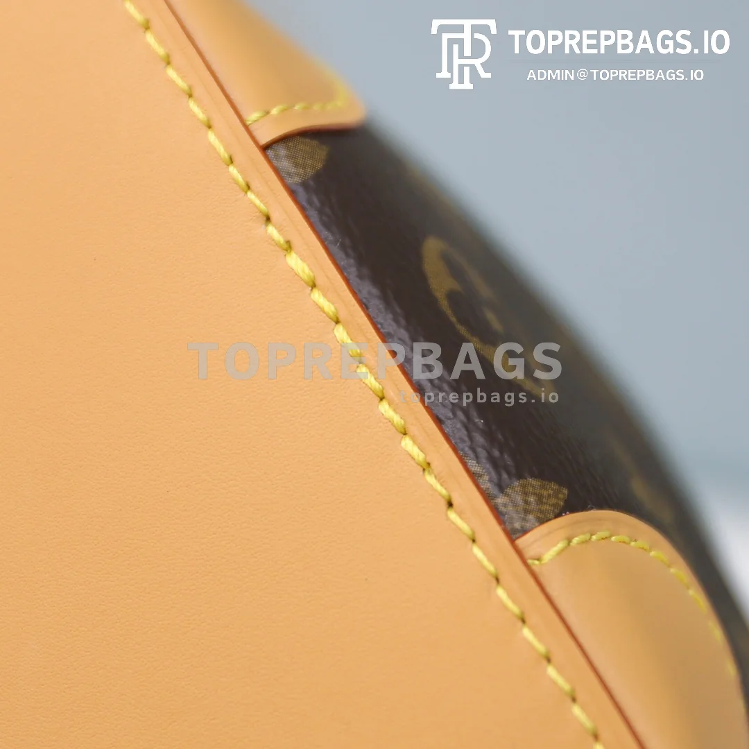 i1600061648_9726_6 Louis Vuitton Noe Purse Mini in Brown
