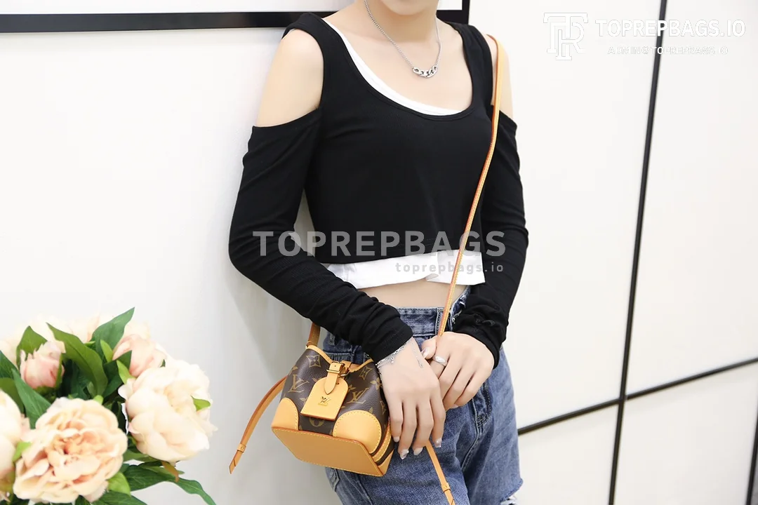 i1600061998_6661_1 Louis Vuitton Noe Purse Mini in Brown