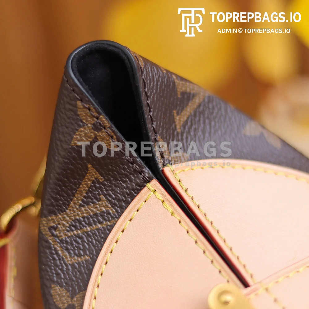 i1619246161_860_6 Louis Vuitton Duffle in Brown