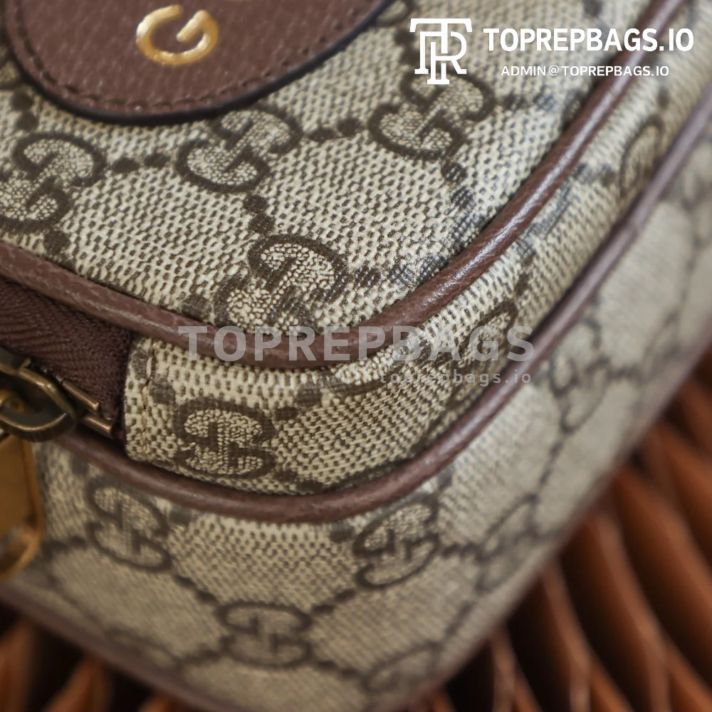 i1622010104_1907_7 Gucci Neo Vintage Mini in Beige