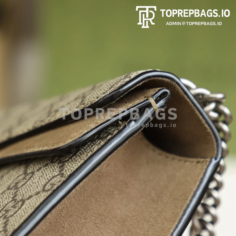 i1626957004_6808_4 Gucci Dionysus in Beige