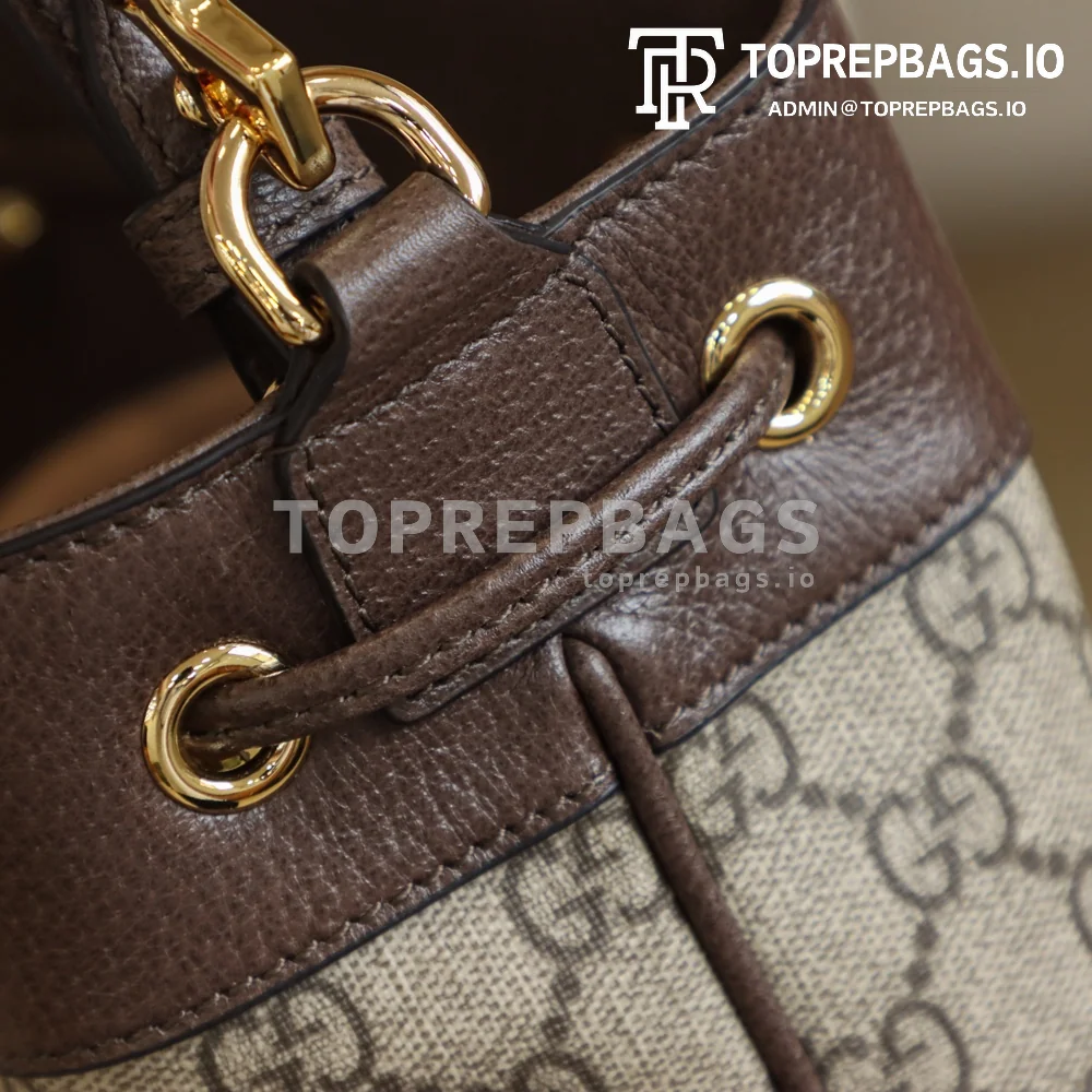 i1631261922_4039_4 Gucci Ophidia Bucket in Beige