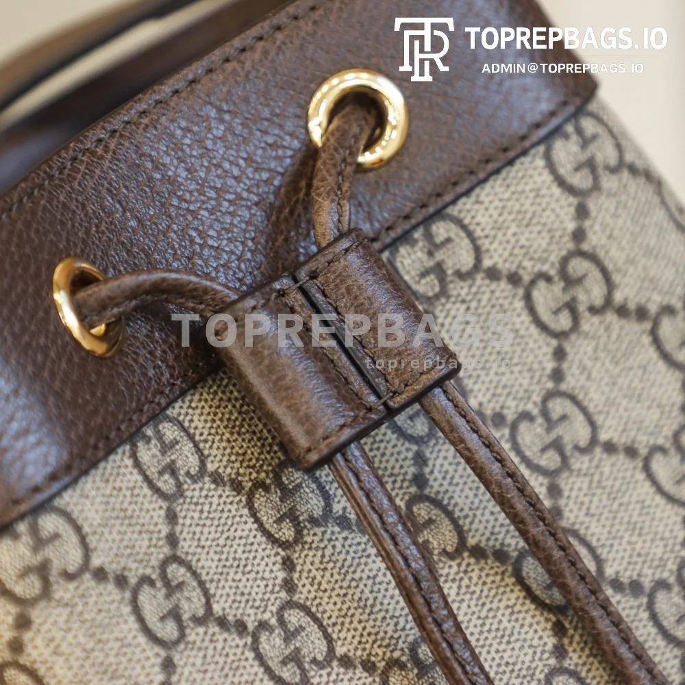 i1631263642_5994_0 Gucci Ophidia in Beige