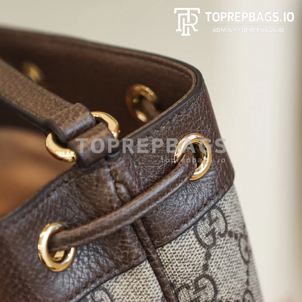 i1631263642_7584_2 Gucci Ophidia in Beige