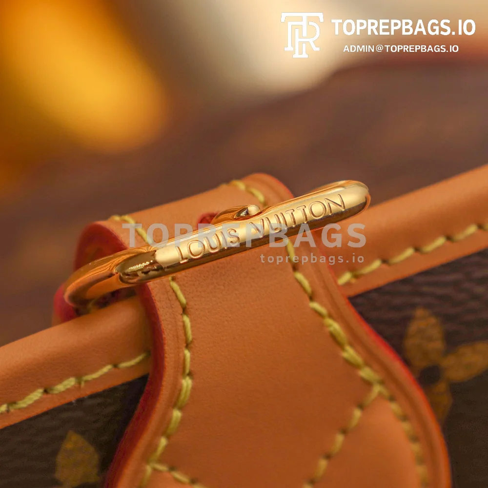 i1646758819_9796_2 Louis Vuitton Diane Hobo in Brown