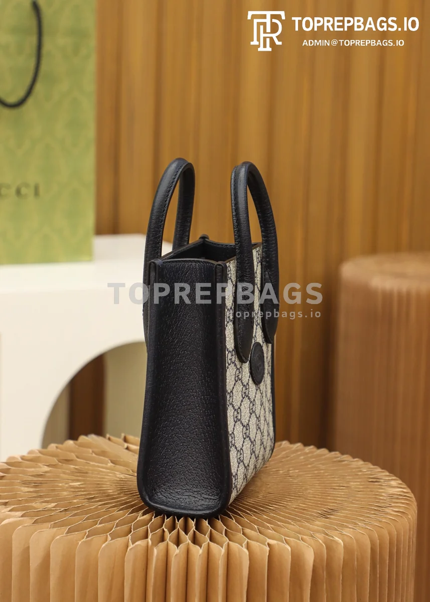 i1646907920_2715_3 Gucci Ophidia Mini Tote in Beige