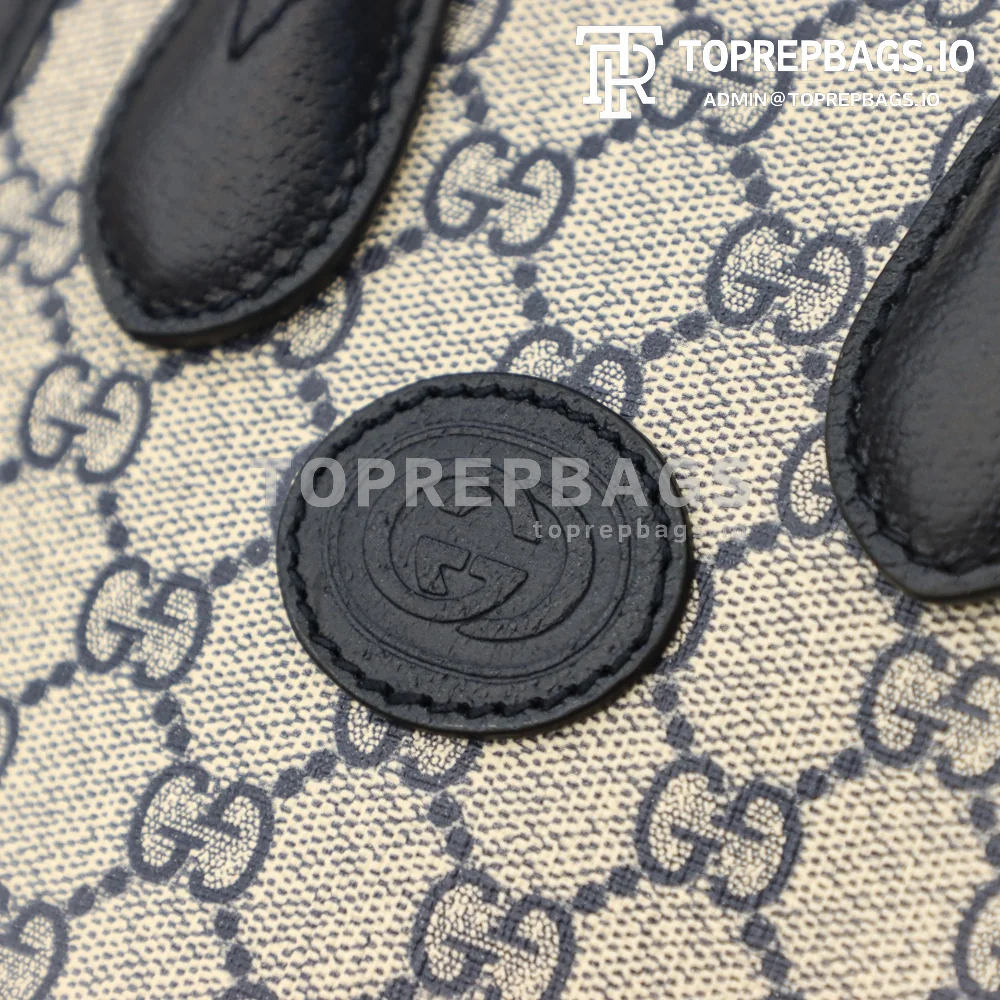 i1646908539_2000_5 Gucci Ophidia Mini Tote in Beige