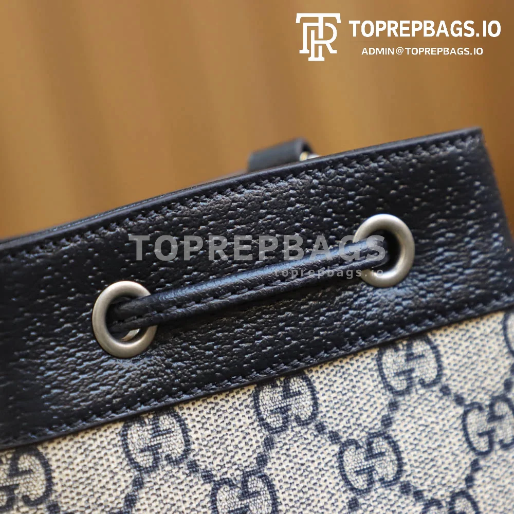 i1650641449_7454_4 Gucci Ophidia in Beige