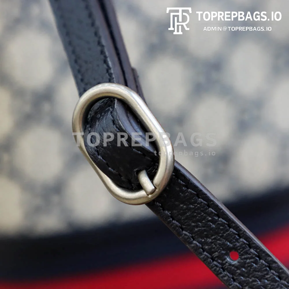 i1650641449_9511_3 Gucci Ophidia in Beige
