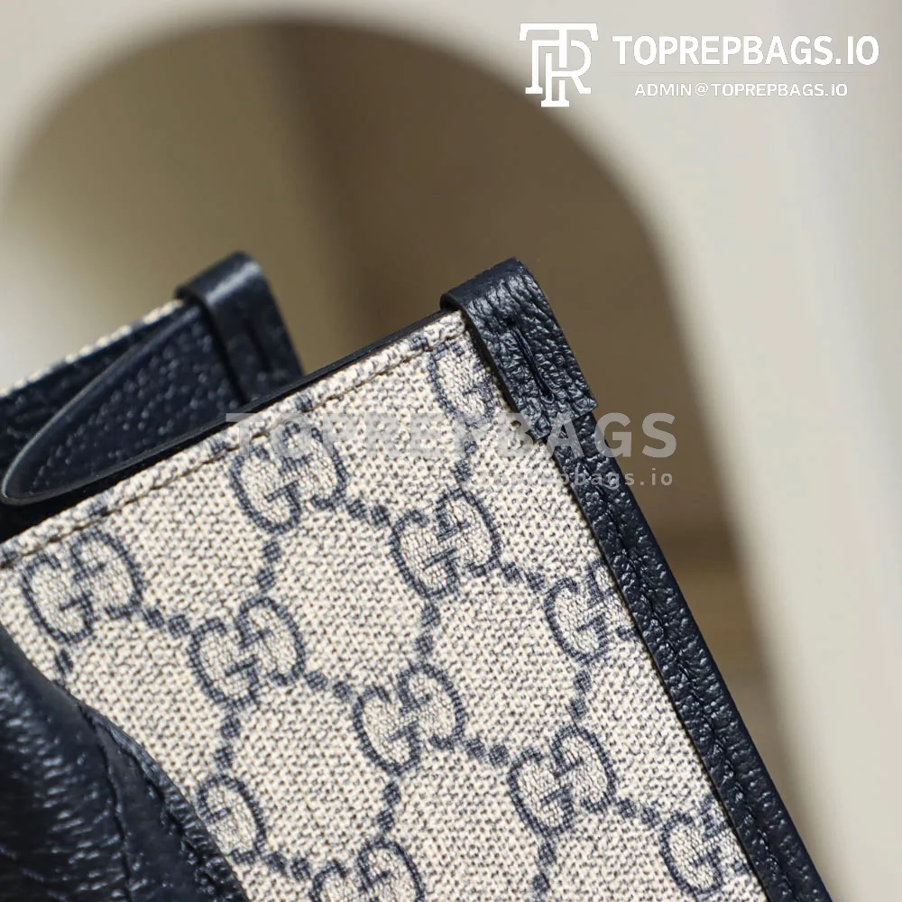 i1650958578_1305_2 Gucci Small Handbag in Beige