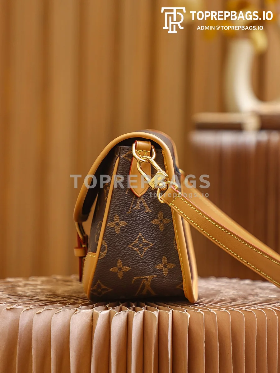 i1653241645_1648_5 Louis Vuitton Diane Hobo in Brown
