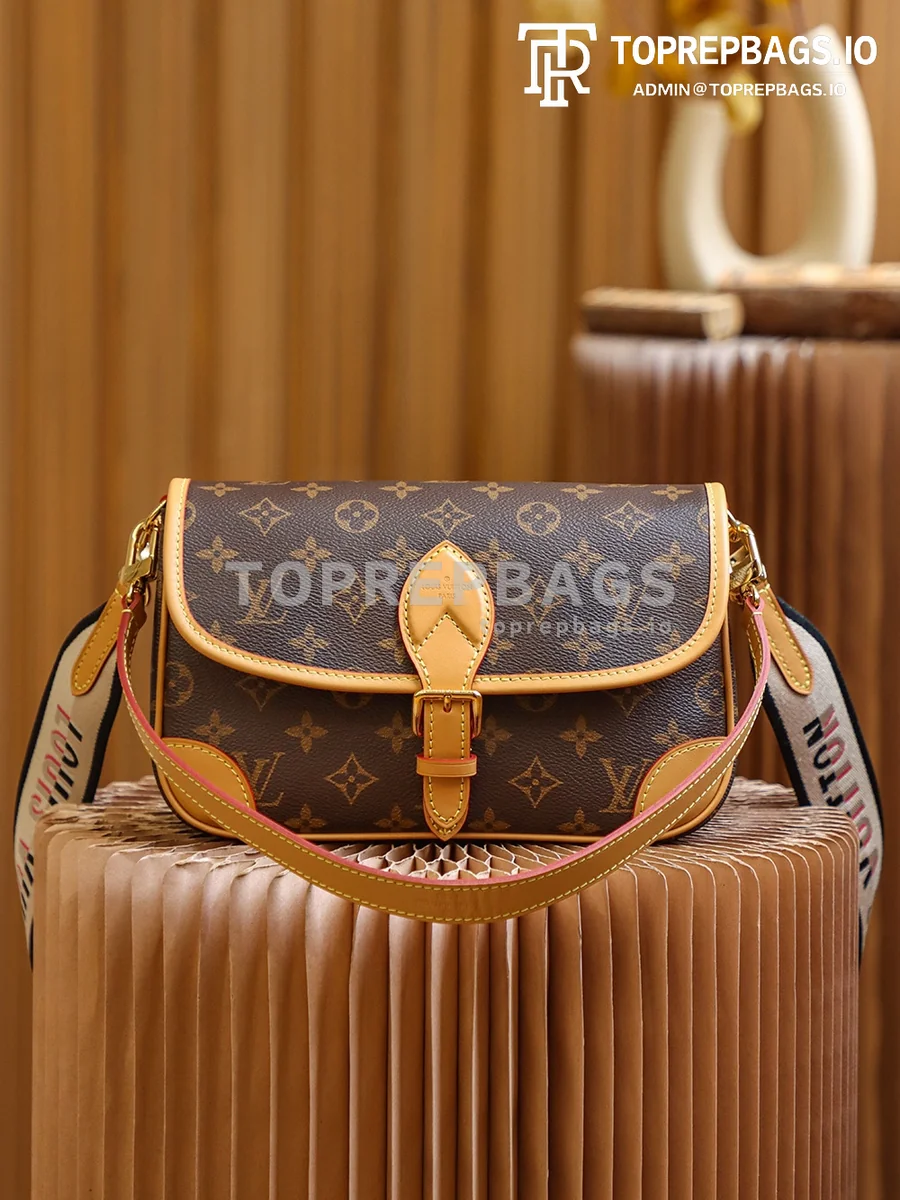 i1653241645_3607_6 Louis Vuitton Diane Hobo in Brown