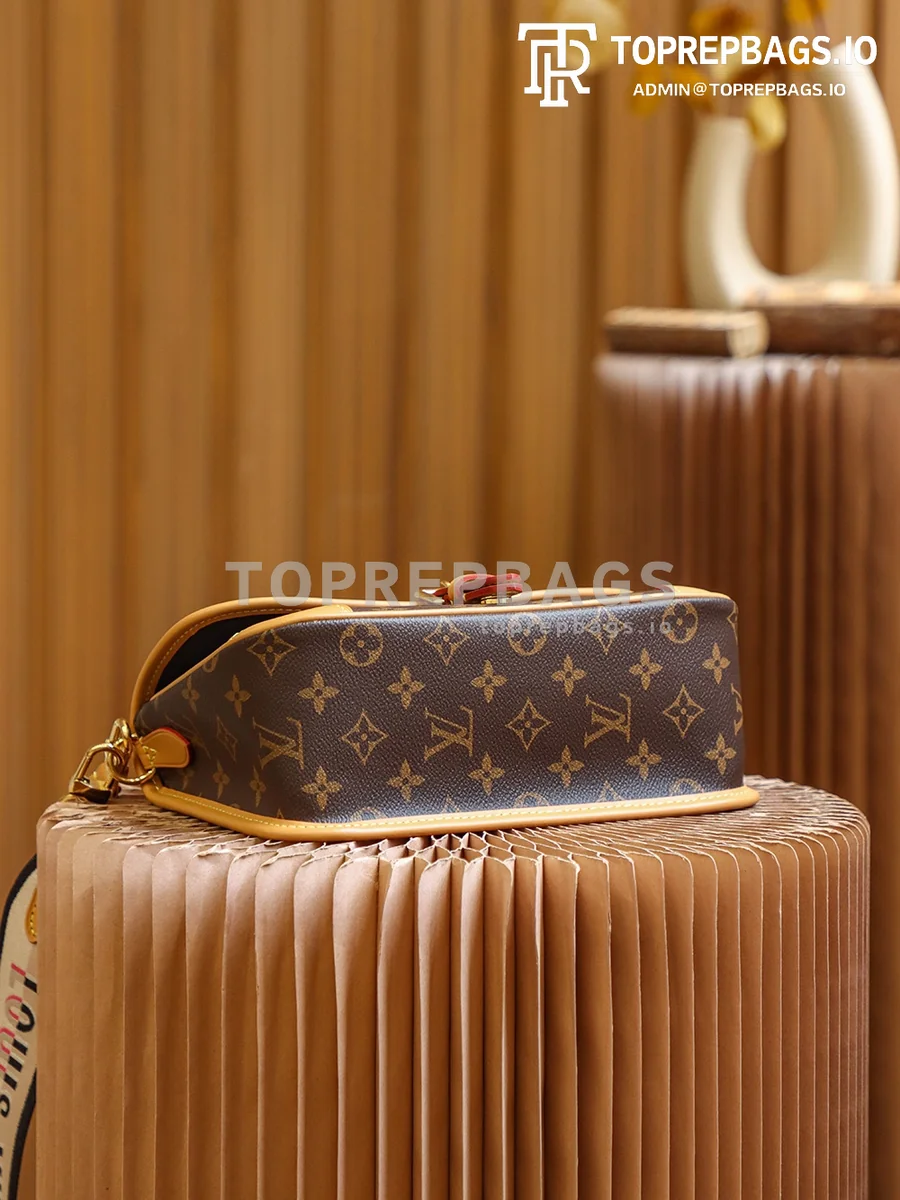 i1653241645_60_4 Louis Vuitton Diane Hobo in Brown