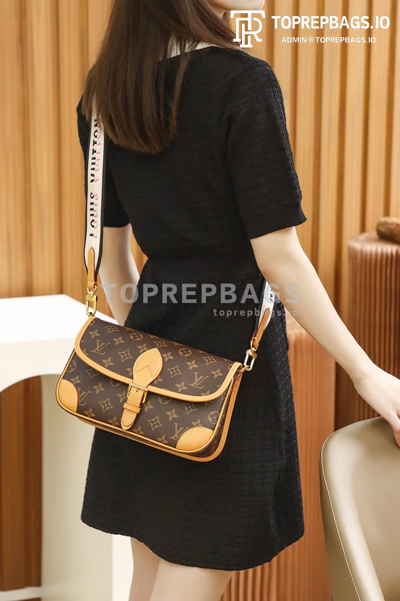i1653241757_1056_5 Louis Vuitton Diane Hobo in Brown