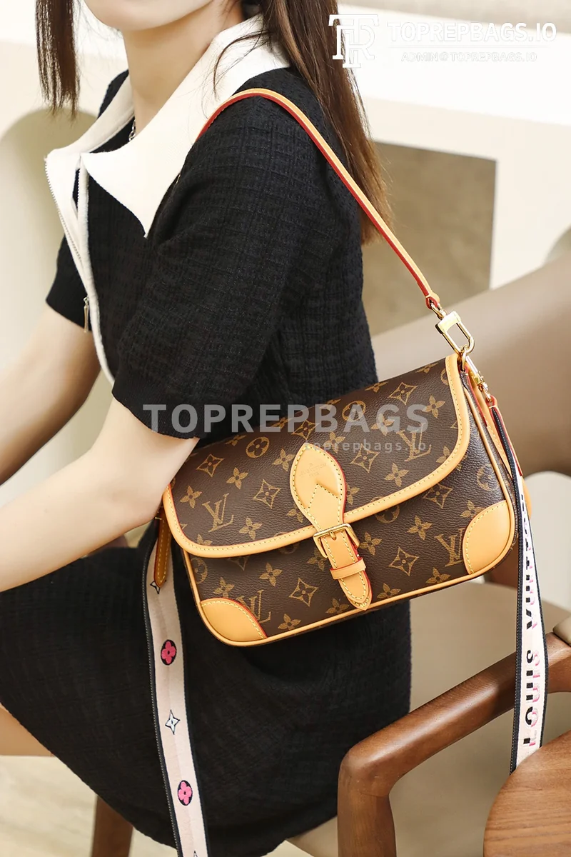 i1653241757_2065_2 Louis Vuitton Diane Hobo in Brown