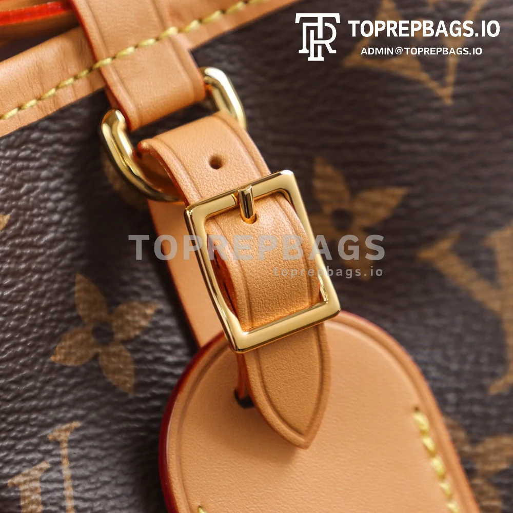 i1657280494_4258_4 Louis Vuitton Noe Purse in Brown