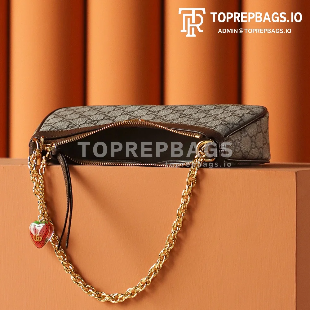 i1680428377_2966_6 Gucci Ophidia Hobo in Beige