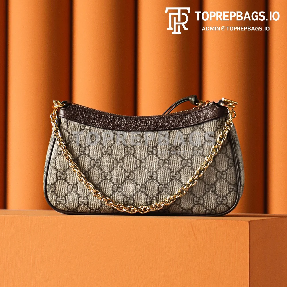 i1680428377_5924_5 Gucci Ophidia Hobo in Beige