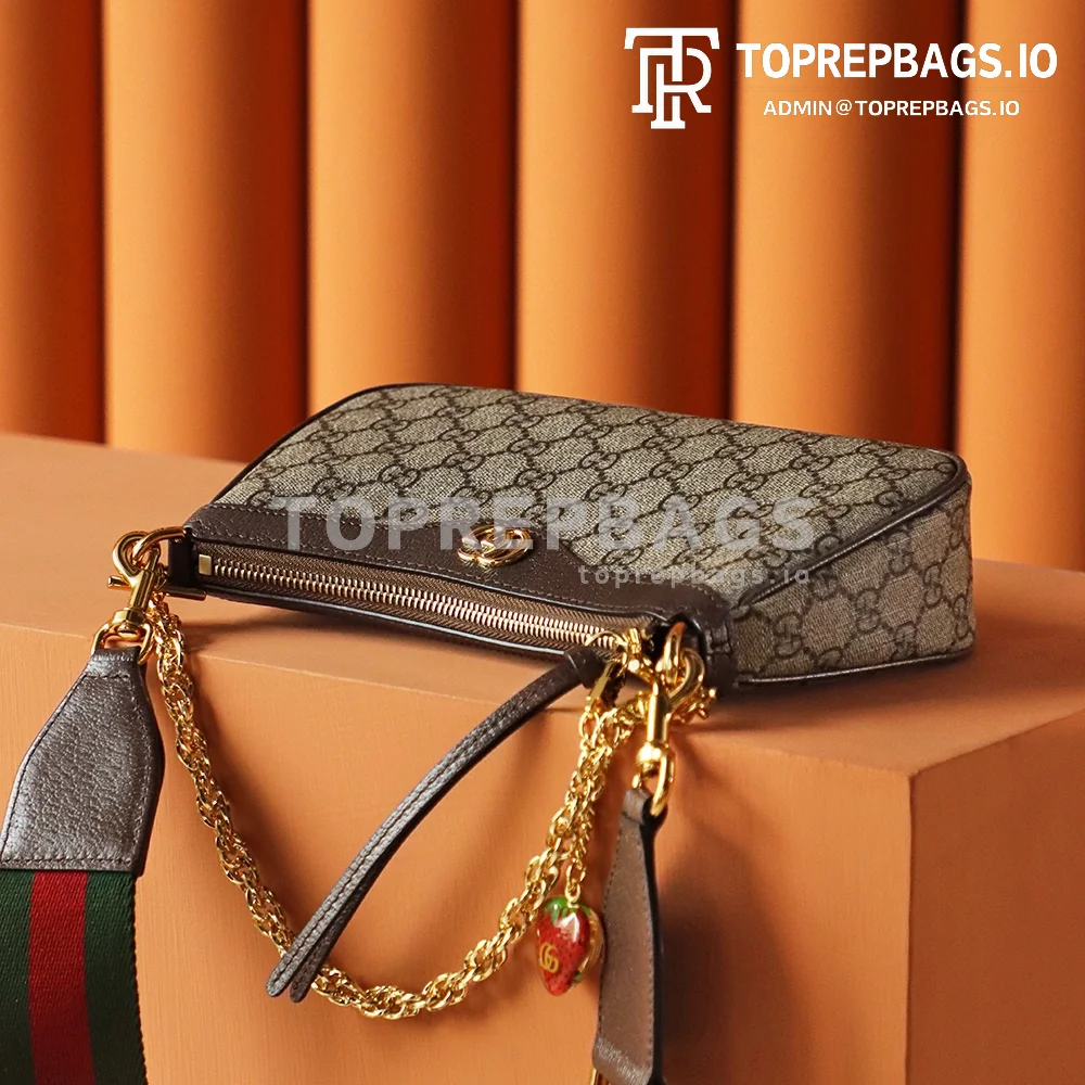 i1680428377_6170_7 Gucci Ophidia Hobo in Beige