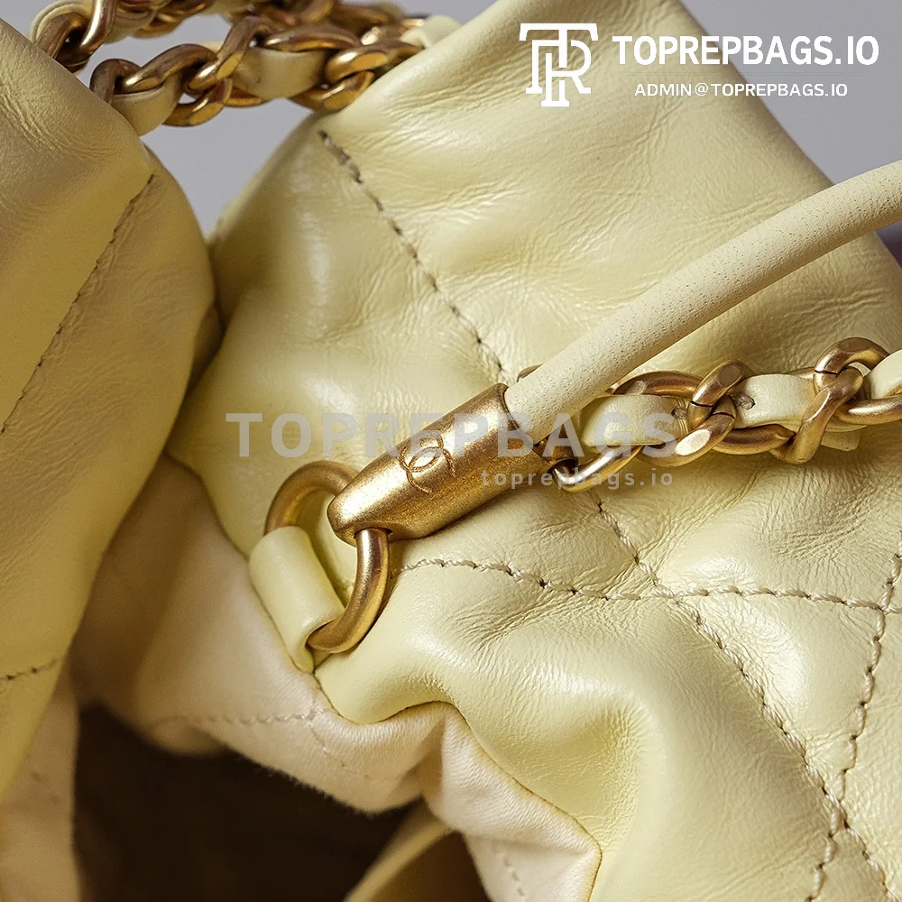 i1692867203_7795_6 Chanel Mini 22 Bag in Yellow