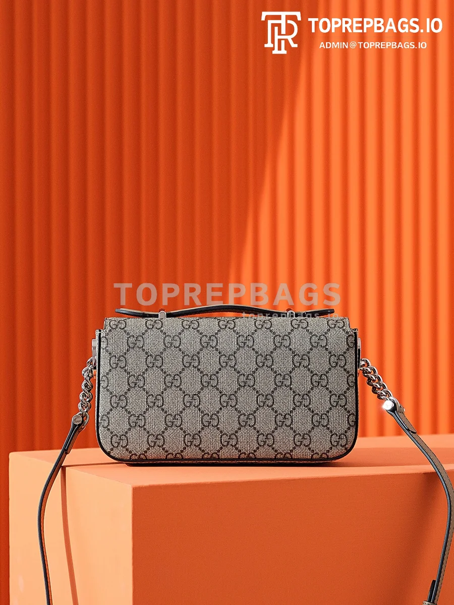 i1694261445_6348_3 Gucci Petite GG in Beige
