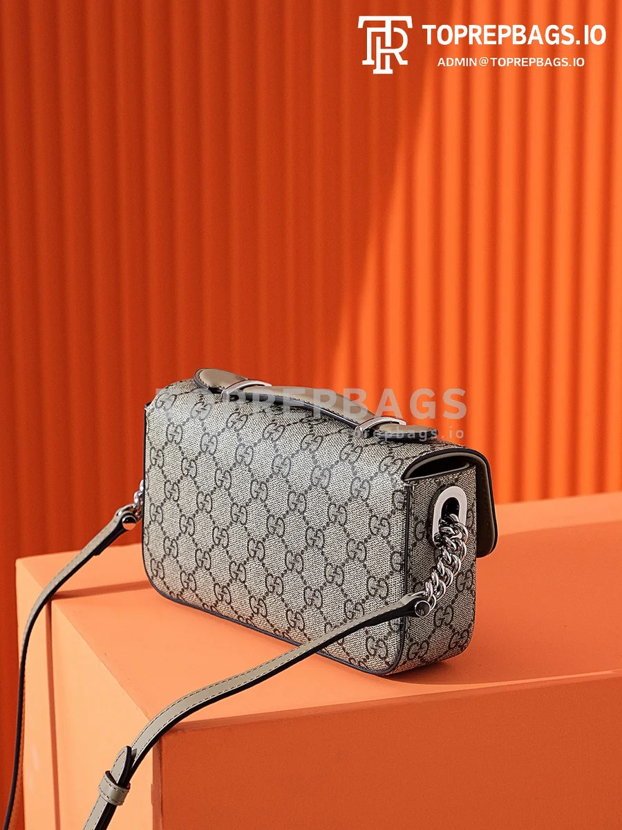 i1694261445_9961_2 Gucci Petite GG in Beige