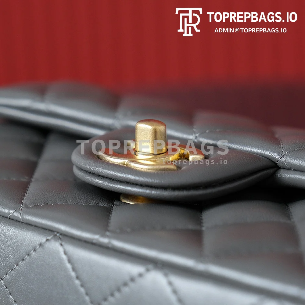 i1695891004_3807_5 Chanel 22 Bag Mini in Grey