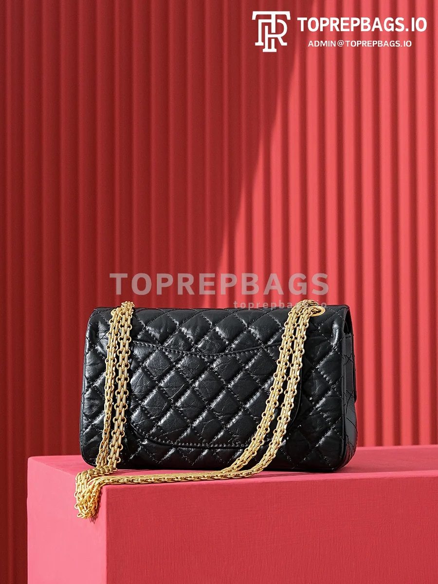 i1695895243_1493_8 Chanel 2.55 in Black