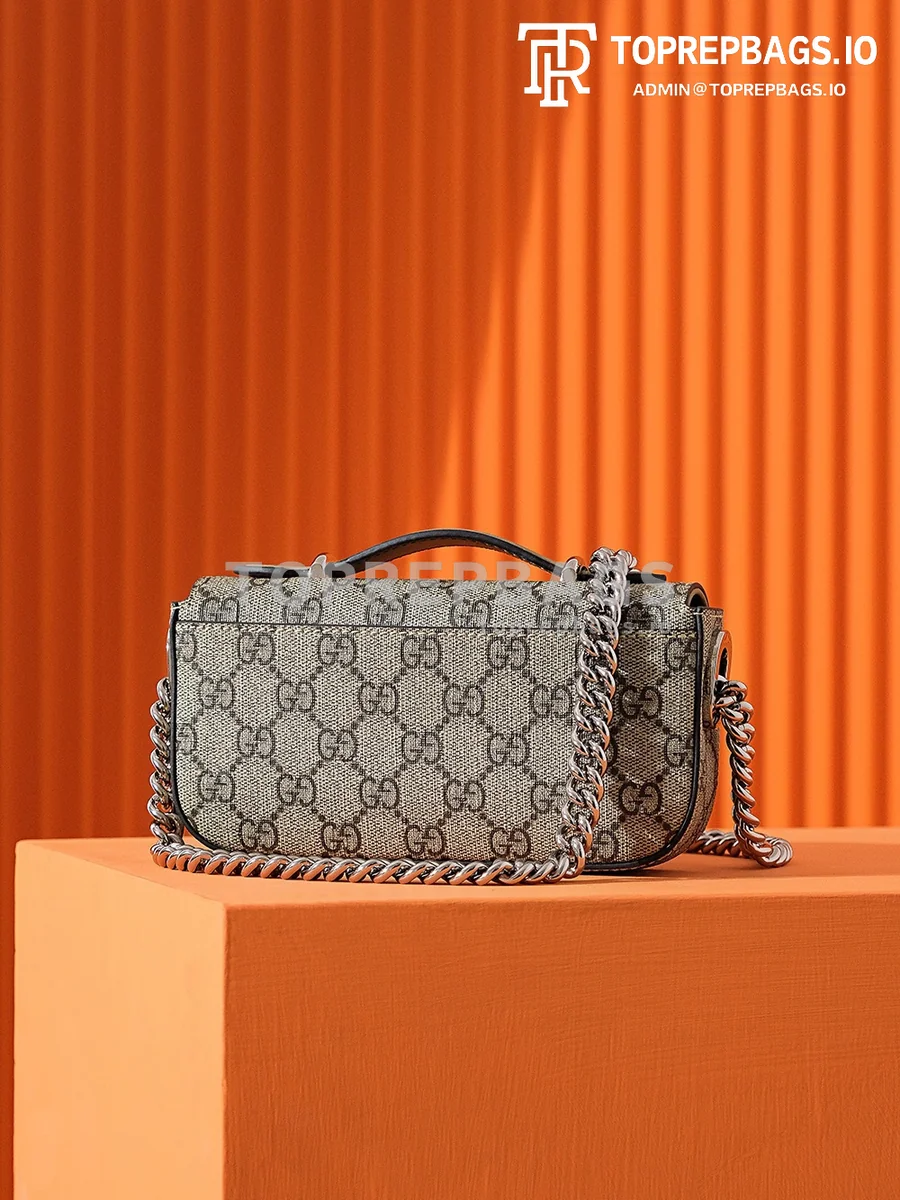 i1697531868_8990_8 Gucci Petite GG in Beige