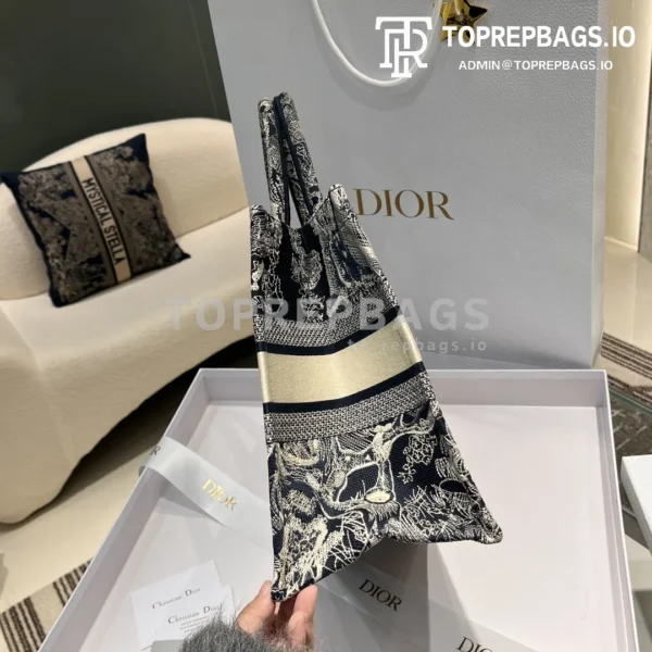 i1698738947_1784_2 Dior Book Tote in Blue
