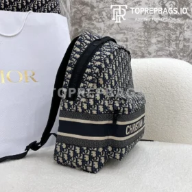 Dior DiorTravel in Blue