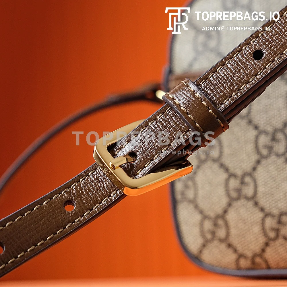 i1700123964_1984_4 Gucci 1955 Horsebit Camera Bag in Beige