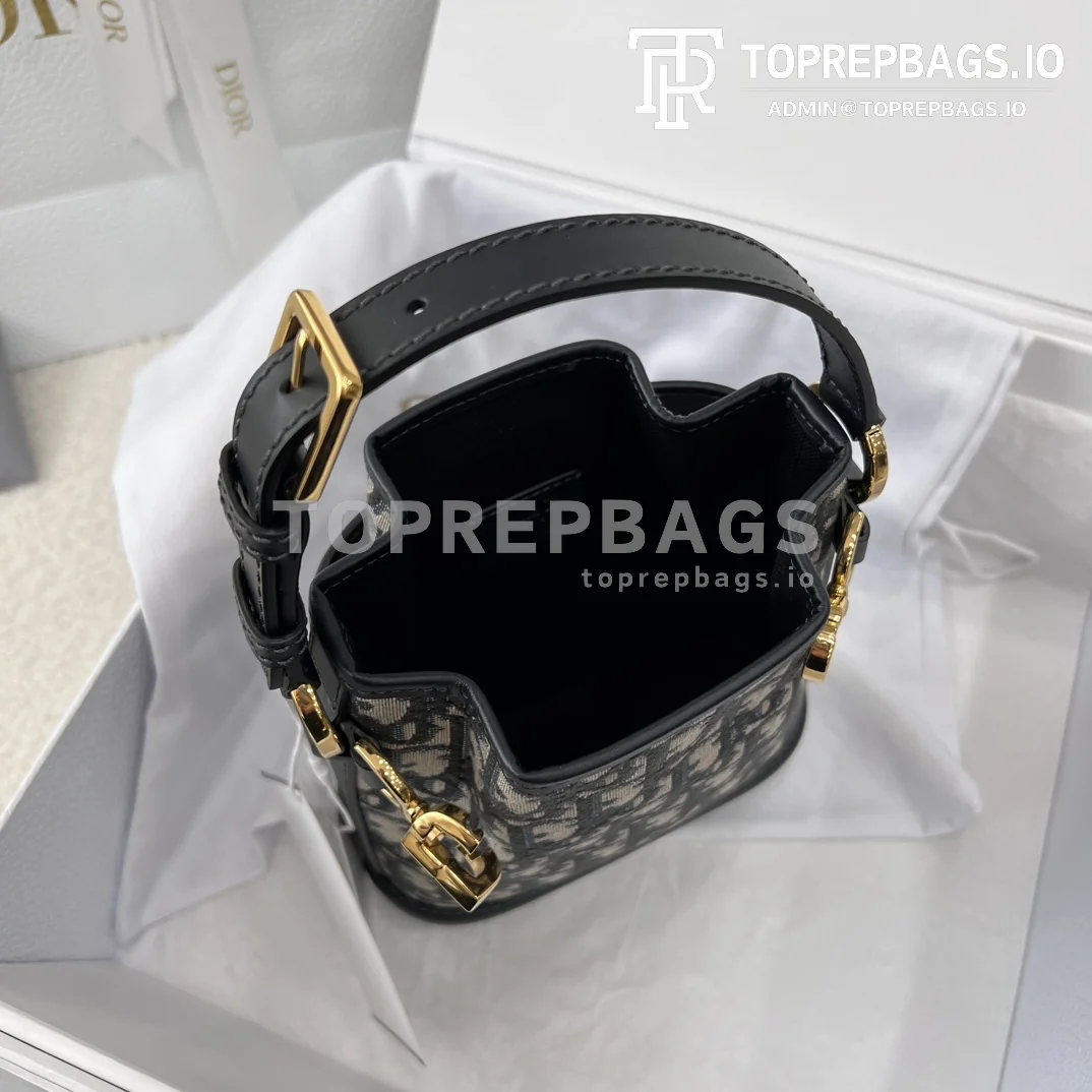 i1700367112_338_1 Dior C'est Bucket Bag Small in Beige