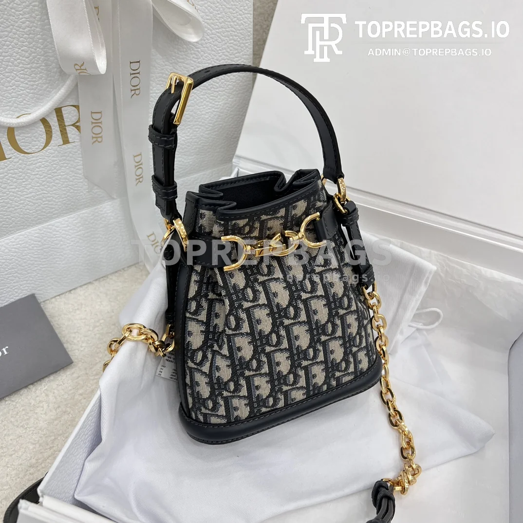 i1700367112_9544_5 Dior C'est Bucket Bag Small in Beige